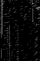 Viral marketing report by Marshall Burns, CallWave, 2002